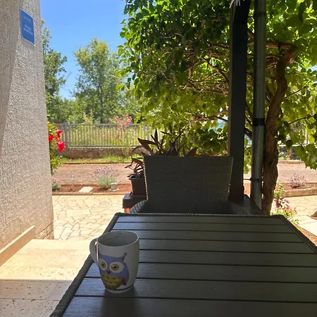 Appartement Jasna *